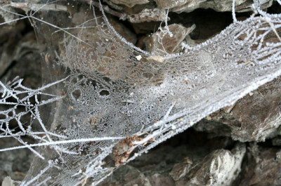 Filigran-7.jpg