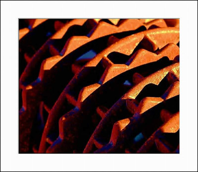 Stillleben_3__29-01-06.jpg
