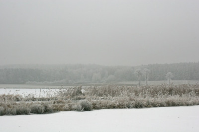 Weiherlandschaft-mit-Rauhreif-1.jpg