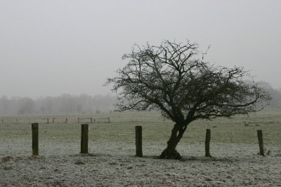 Heck-Feb-01.jpg