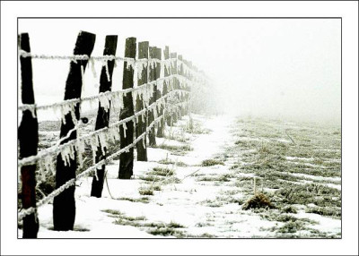 Zaune_1_04-02-06.jpg