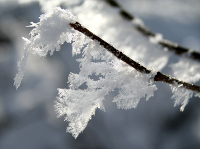 Schneekristalle-1.jpg