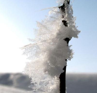 Eiskristalle-3.jpg