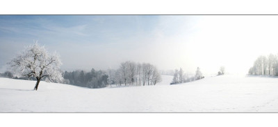 Panorama-2.jpg