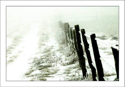 Zaune___3_04-02-06.jpg