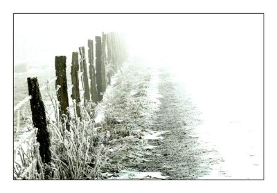 Zaune___4_04-02-06.jpg