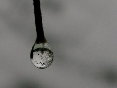 Tropfen-grau-in-grau-klein.jpg