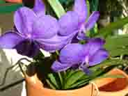 DSCF1209.jpg