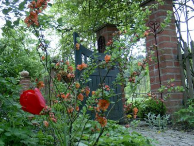 Rosenbogen-Fruhling.jpg