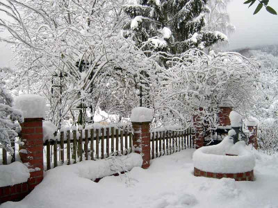 Rosenbogen-Winter.jpg