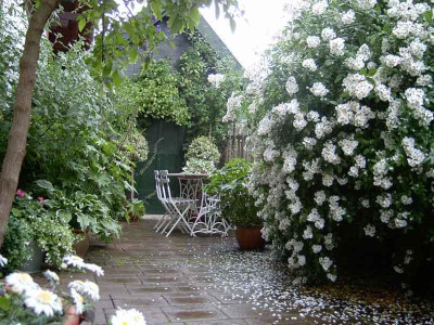 Schuppen-Sommer.jpg