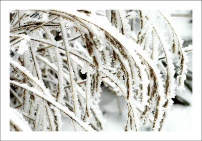 Verschneites_3__04-02-06.jpg