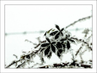 Verschneites_1__04-02-06.jpg