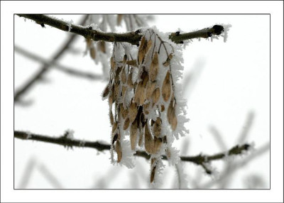 Verschneites_2__04-02-06.jpg