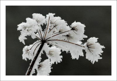 Verschneites_4__04-02-06.jpg