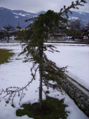 PICT0679.JPG