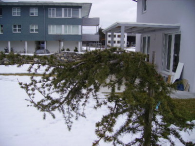 PICT0680.JPG