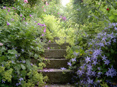 Treppe-Fruhling.jpg