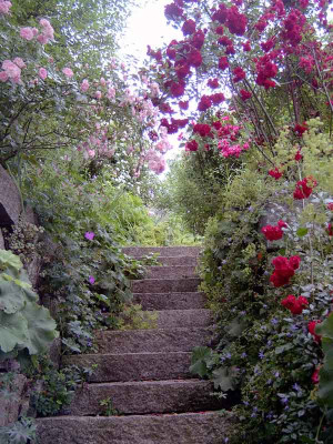 Treppe-Sommer.jpg