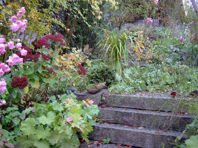 Treppe-Herbst.jpg