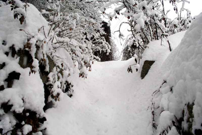 Treppe-Winter.jpg