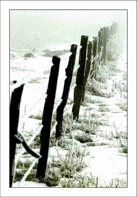 Zaunmuster_nachher_gespiegelt_1__04-02-06.jpg