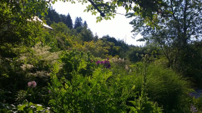 WP_20150626_08_31_08_Pro.jpg