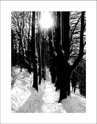 Alleeansichten_1_28-02-05.jpg