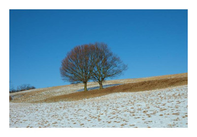 Baumansichten_1_29-01-06.jpg