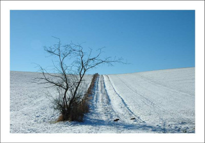 Baumansichten_2_29-01-06.jpg