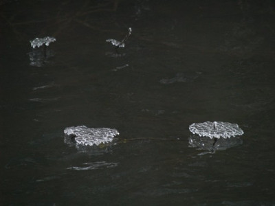 2006-02-02_088.jpg