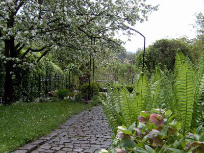 Ostseite-Fruhling.jpg
