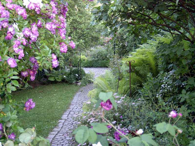 Ostseite-Sommer.jpg