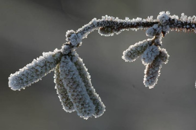 Vorher_Nachher_1_29-01-06.jpg