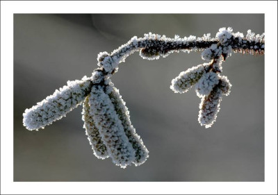 Vorher_Nachher_4_29-01-06.jpg