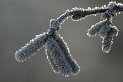 Vorher_Nachher_3_29-01-06.jpg