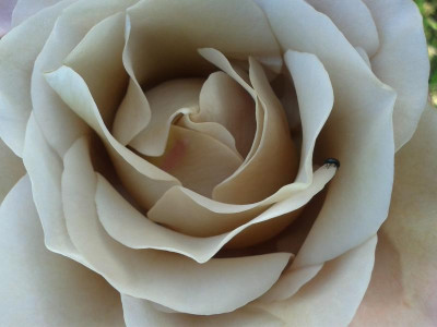 20150626_160946.jpg