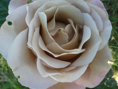 20150626_160906.jpg