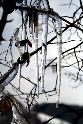 Tauwetter-3.jpg