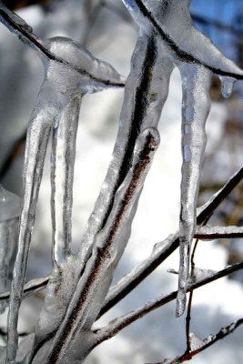 Tauwetter-7.jpg