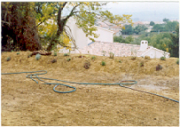 Krauter_2003.jpg