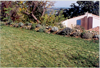 Krauter_2005.jpg