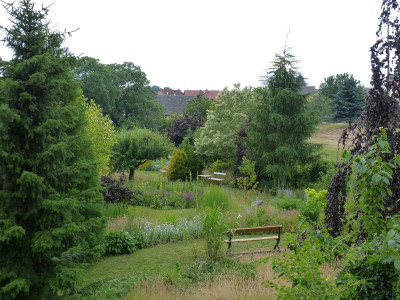2015-06-26 Garteneinblick 1.jpg