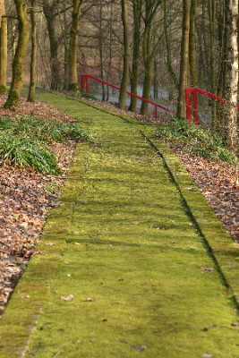 Weg-Feb-1.jpg