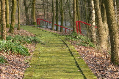 Weg-Feb-2.jpg
