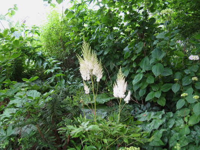 Diamant Waldgarten (Kopie).jpg