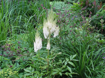 Diamant Teich (Kopie).jpg