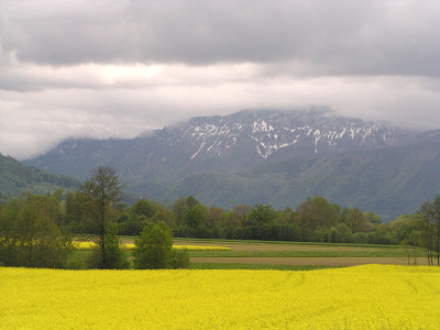 kremstal_mai_von_norden.jpg