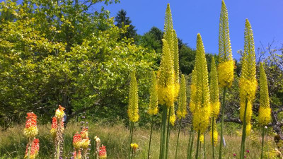 WP_20140623_13_49_00_Pro.jpg