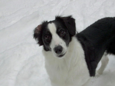 Beska1_29.12.05._007.jpg
